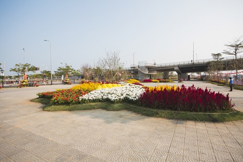 Đà[-]Nẵng:[-]Bản[-]đồ[-]Việt[-]Nam[-]bằng[-]hoa[-]lập[-]kỷ[-]lục